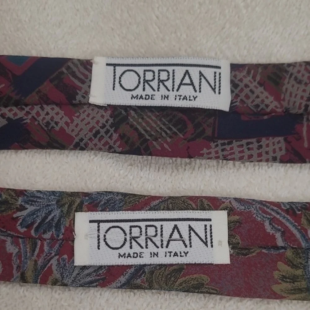 Torriani Elegant Mens Neckties Lot of 2 Paisley and Geometric‎ Patterned